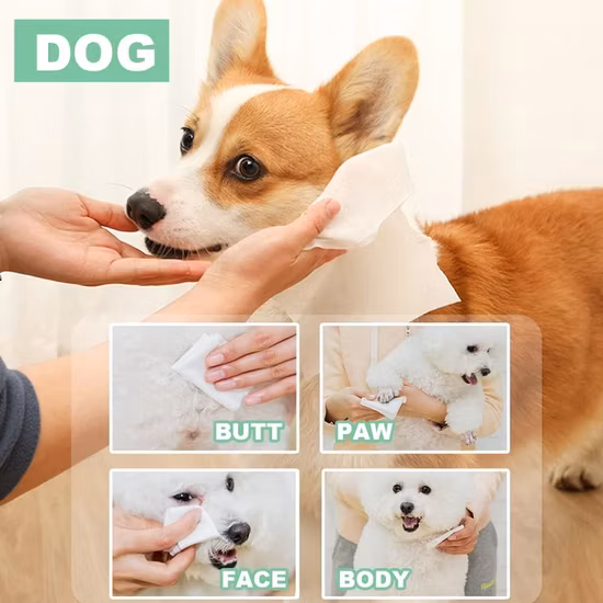 기본 조정: 유아/성인/애완동물, 항균/소독제/소독제/알코올/메이크업 리무버, 수세식 페이셜 클렌저, 물수건/물티슈